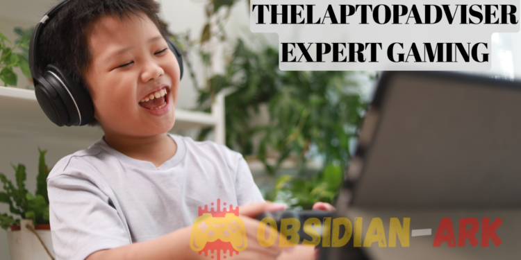 thelaptopadviser