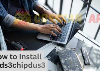 ds3chipdus3