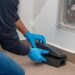 Reliable Pest Control in Chelmsford for Homes and Businesses